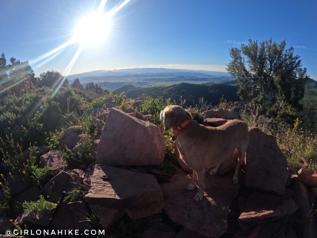 Hiking to Summit Park Peak