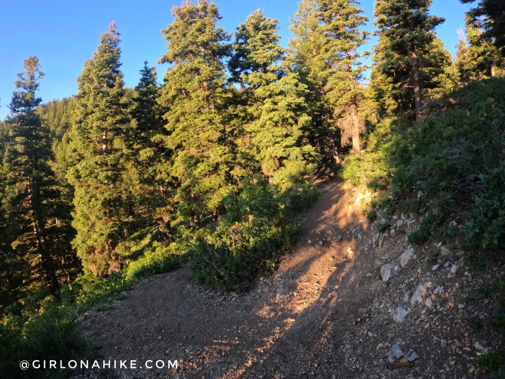 Hiking to Summit Park Peak