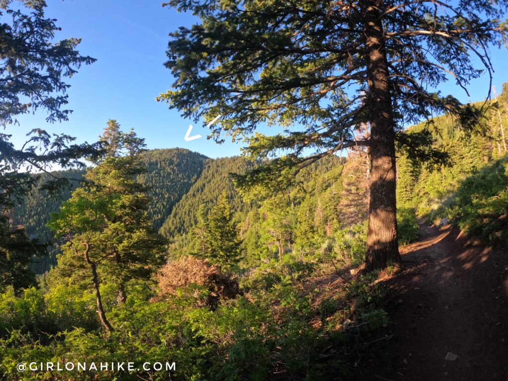 Hiking to Summit Park Peak