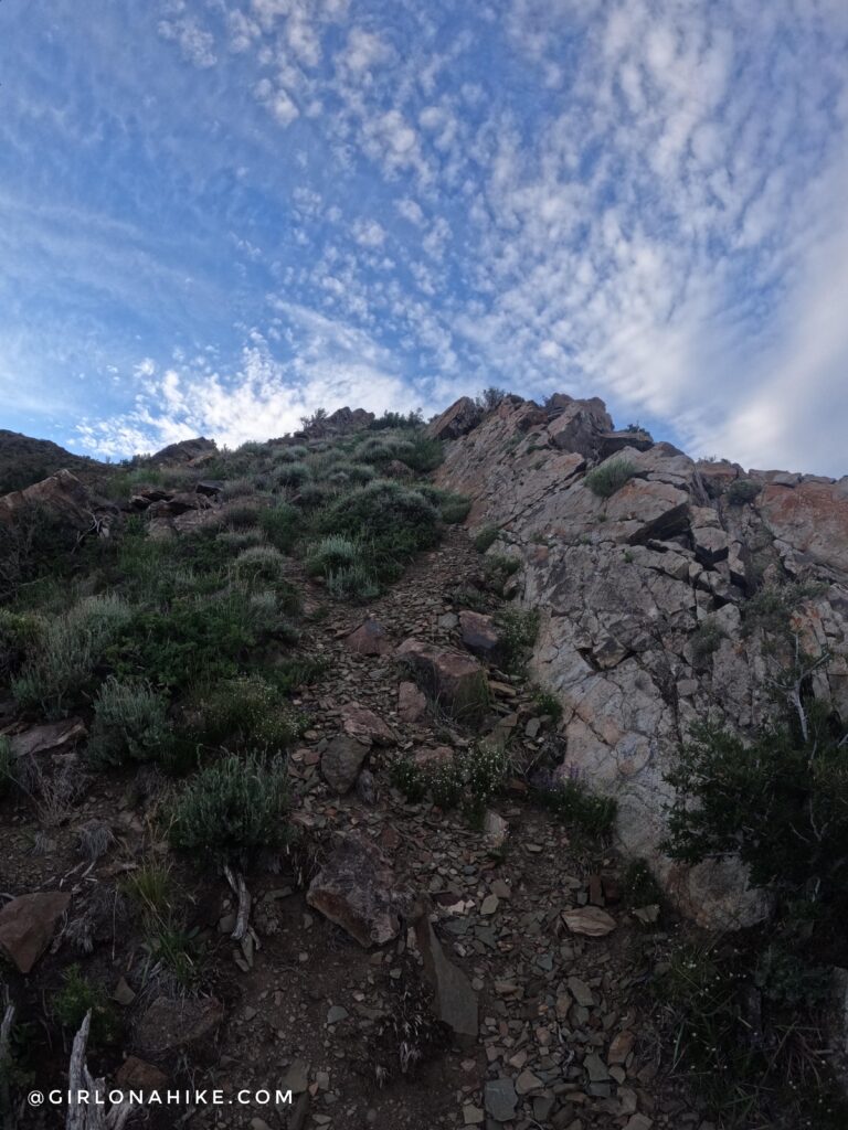 Hiking to Black Crook Peak, Sheeprock Mountains