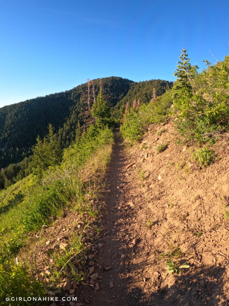 Hiking to Summit Park Peak