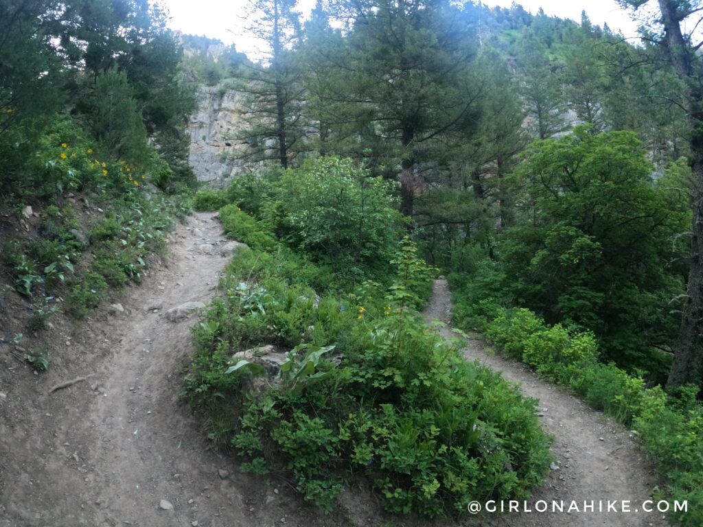 Hiking to Upper Palisades Lake, Idaho