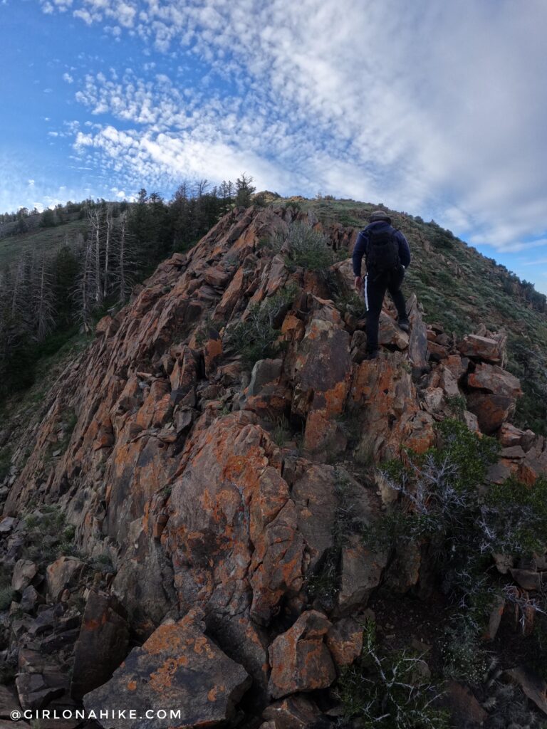 Hiking to Black Crook Peak, Sheeprock Mountains