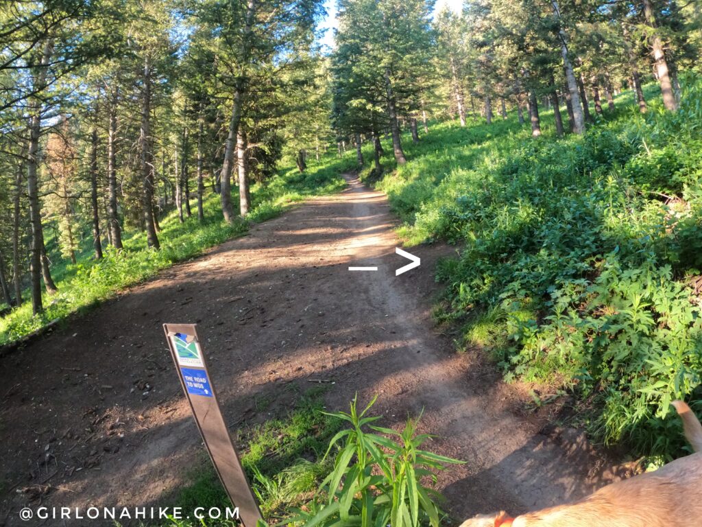 Hiking to Summit Park Peak