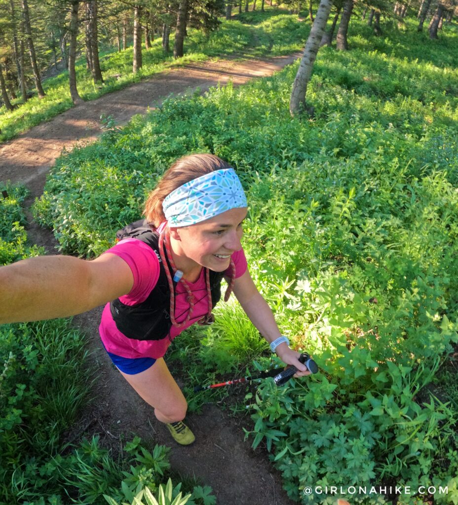 Hiking to Summit Park Peak