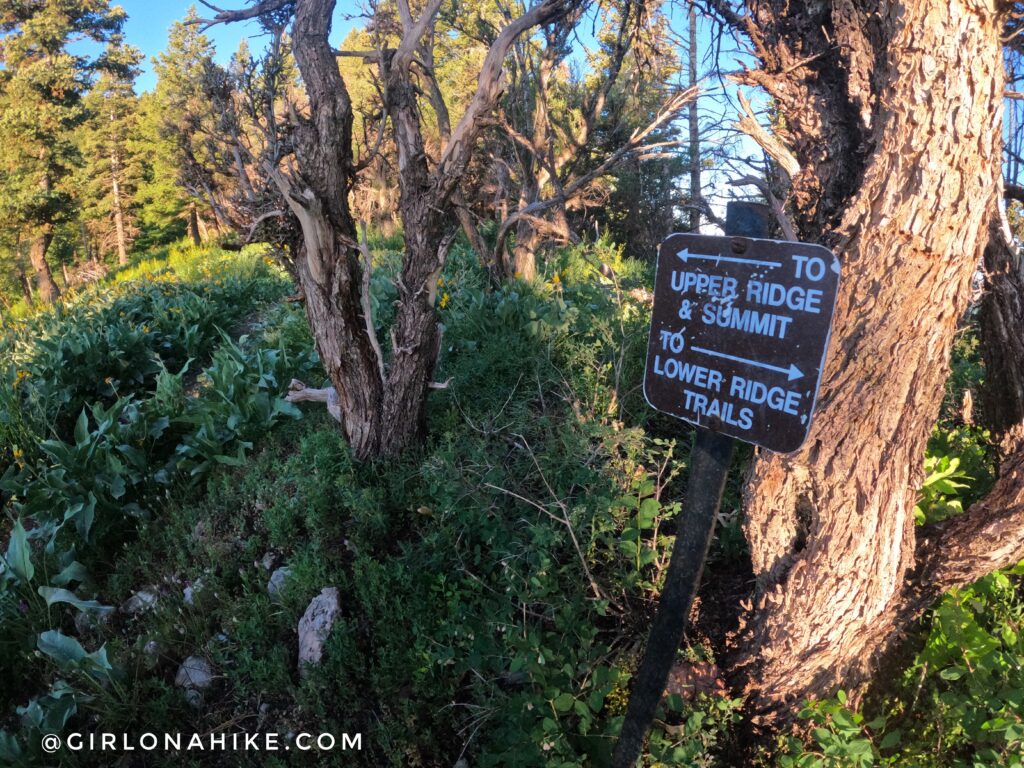 Hiking to Summit Park Peak