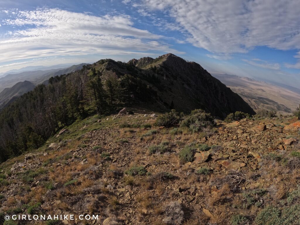 Hiking to Black Crook Peak, Sheeprock Mountains