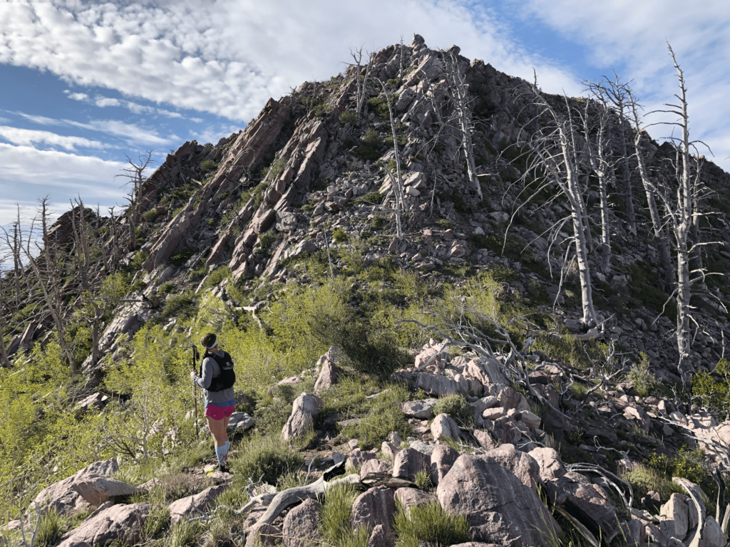 Hiking to Black Crook Peak, Sheeprock Mountains