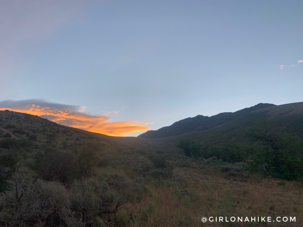 Hiking to Black Crook Peak, Sheeprock Mountains