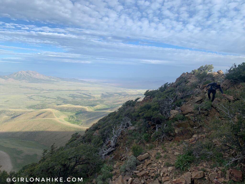 Hiking to Black Crook Peak, Sheeprock Mountains