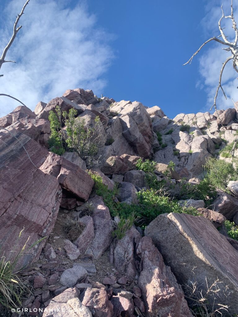 Hiking to Black Crook Peak, Sheeprock Mountains