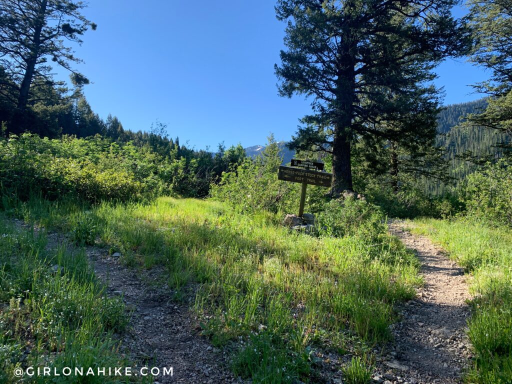 Hiking to Upper Palisades Lake, Idaho