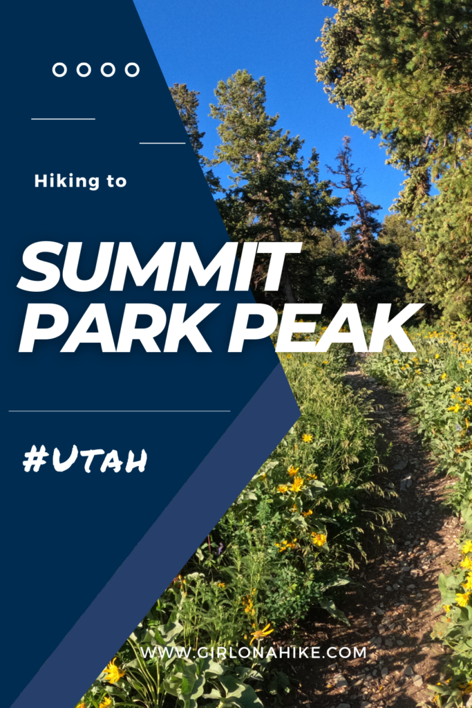 Hiking to Summit Park Peak