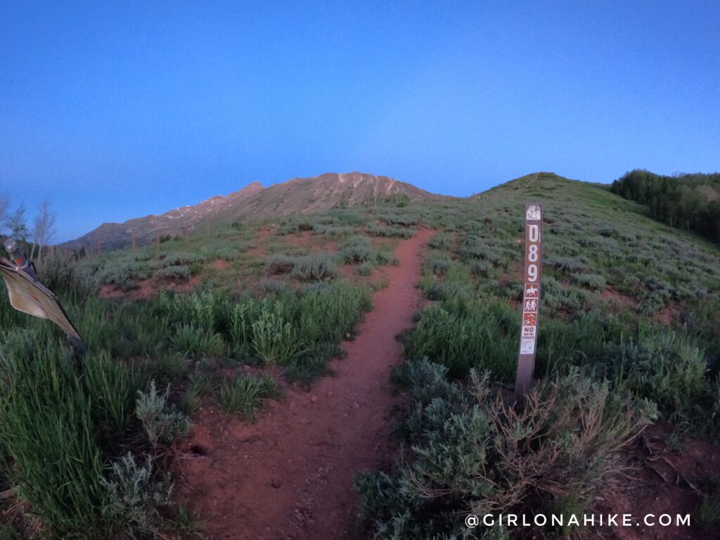 Hiking Mt.Nebo - Tallest Peak in the Wasatch