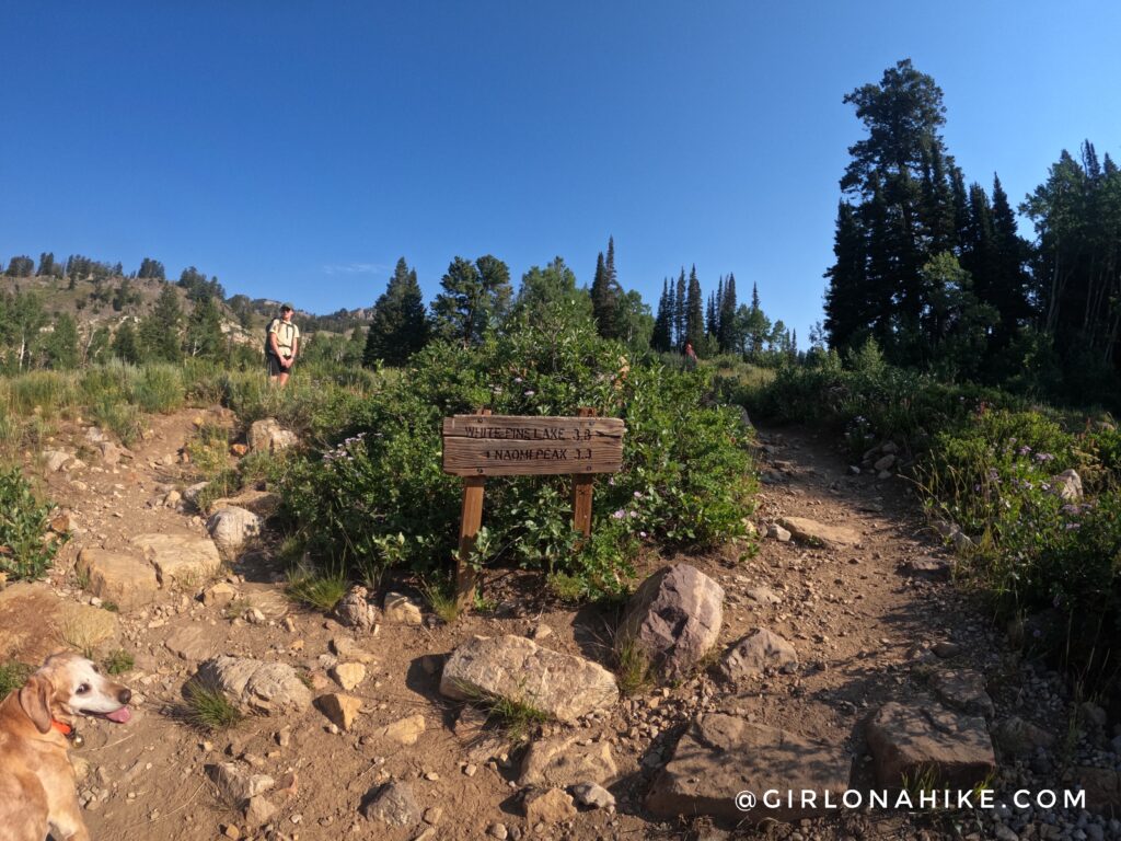 Hiking to Naomi Peak, Logan Canyon