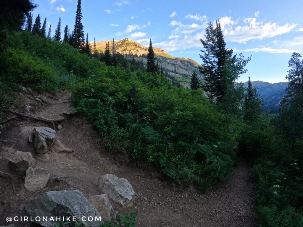 Hiking Alaska Basin, Wyoming