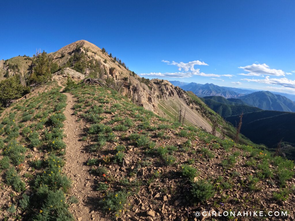 Hiking to Santaquin Peak