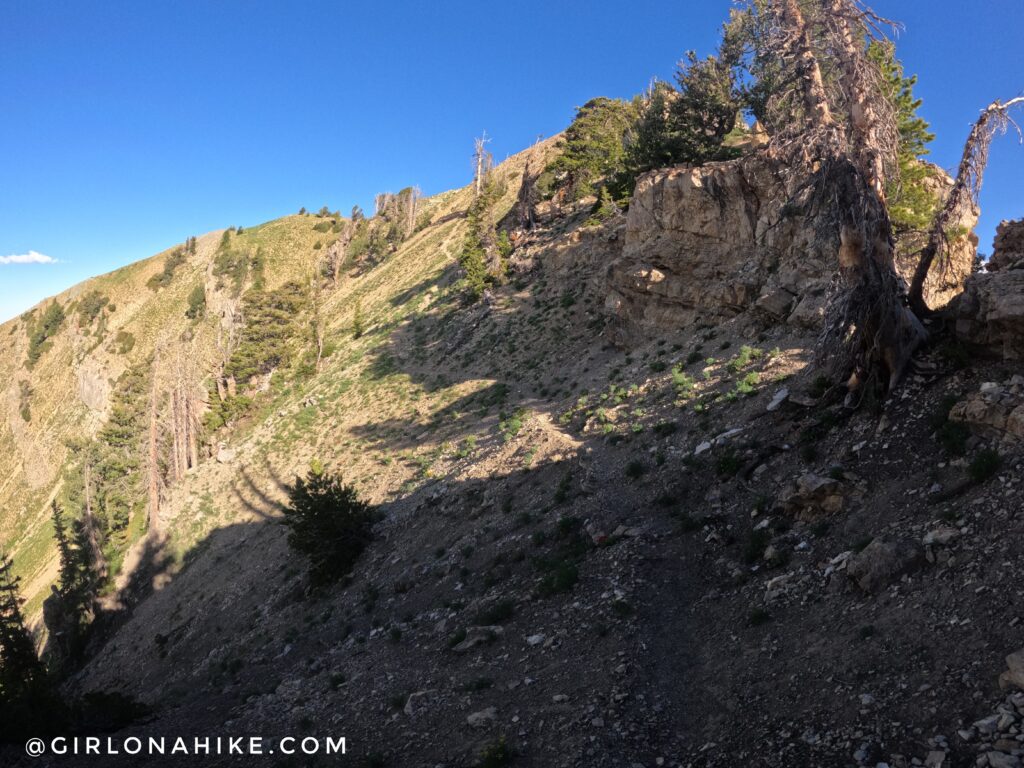 Hiking to Santaquin Peak