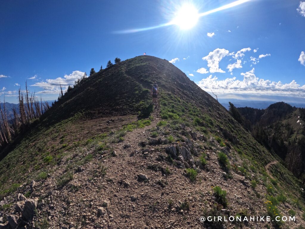 Hiking to Santaquin Peak