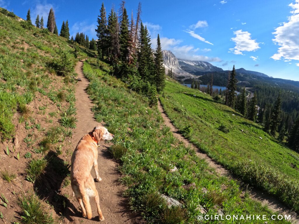 Hiking to Medicine Bow Peak, Wyoming