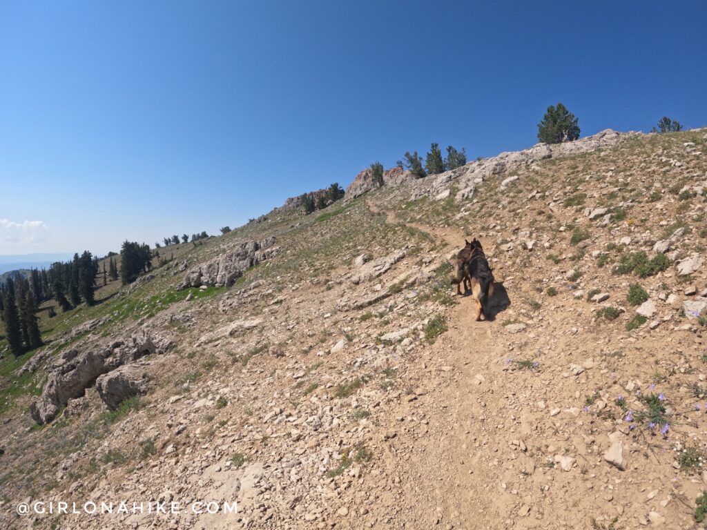 Hiking to Naomi Peak, Logan Canyon