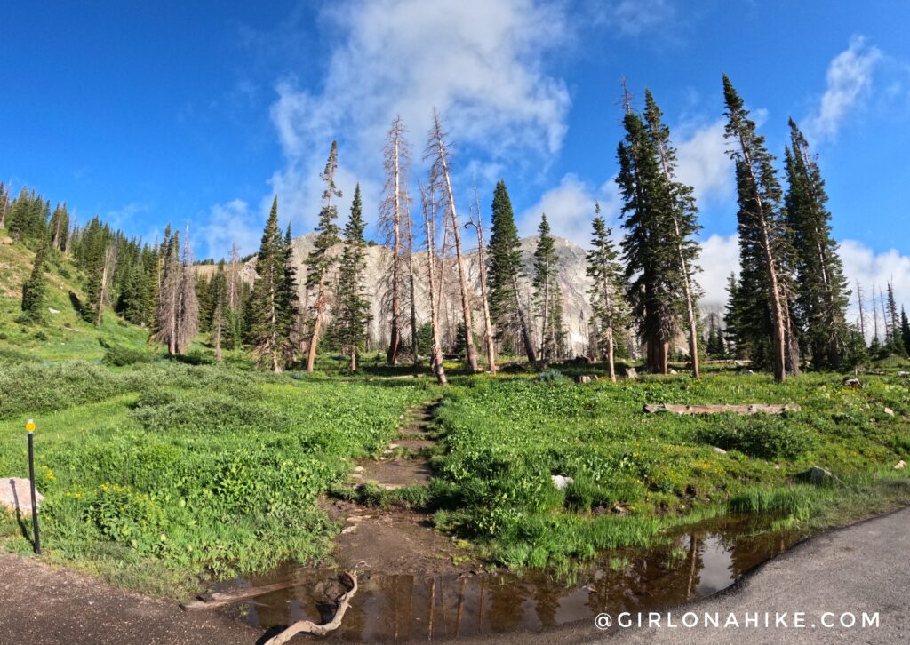 Hiking to Medicine Bow Peak, Wyoming