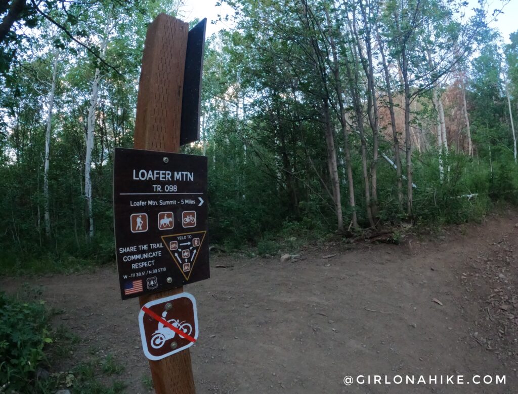 Hiking to Santaquin Peak