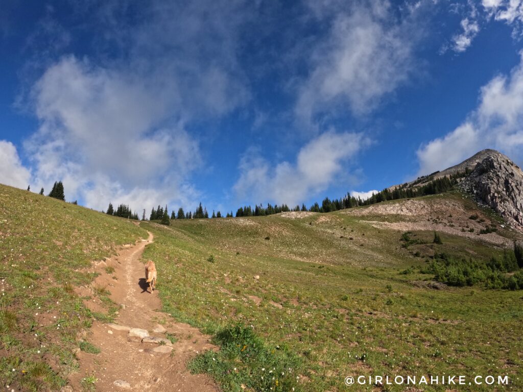 Hiking to Medicine Bow Peak, Wyoming