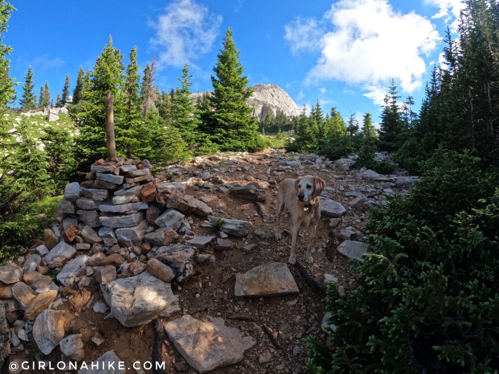 Hiking to Medicine Bow Peak, Wyoming