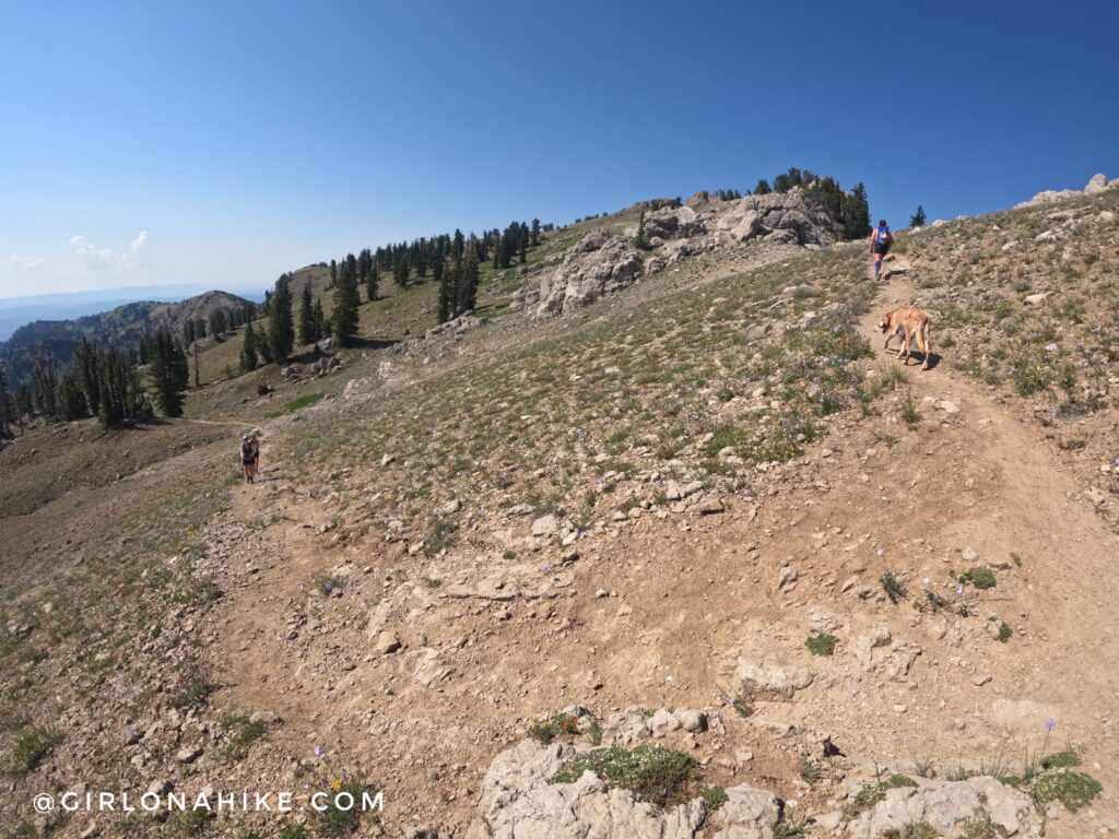 Hiking to Naomi Peak, Logan Canyon