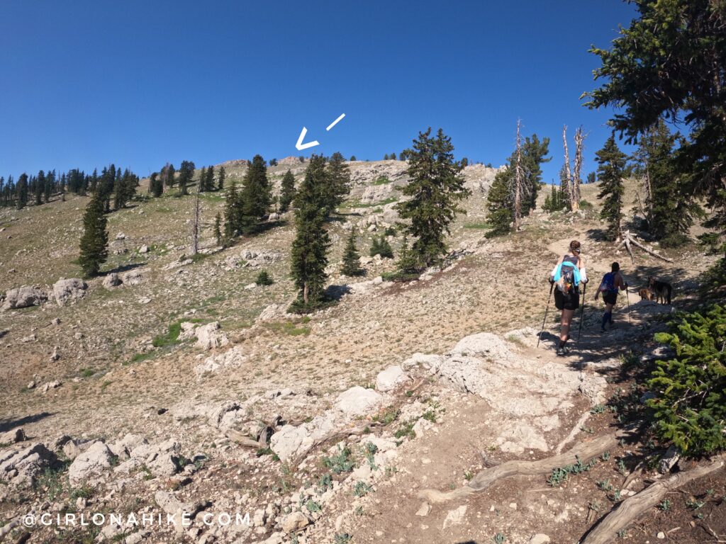 Hiking to Naomi Peak, Logan Canyon