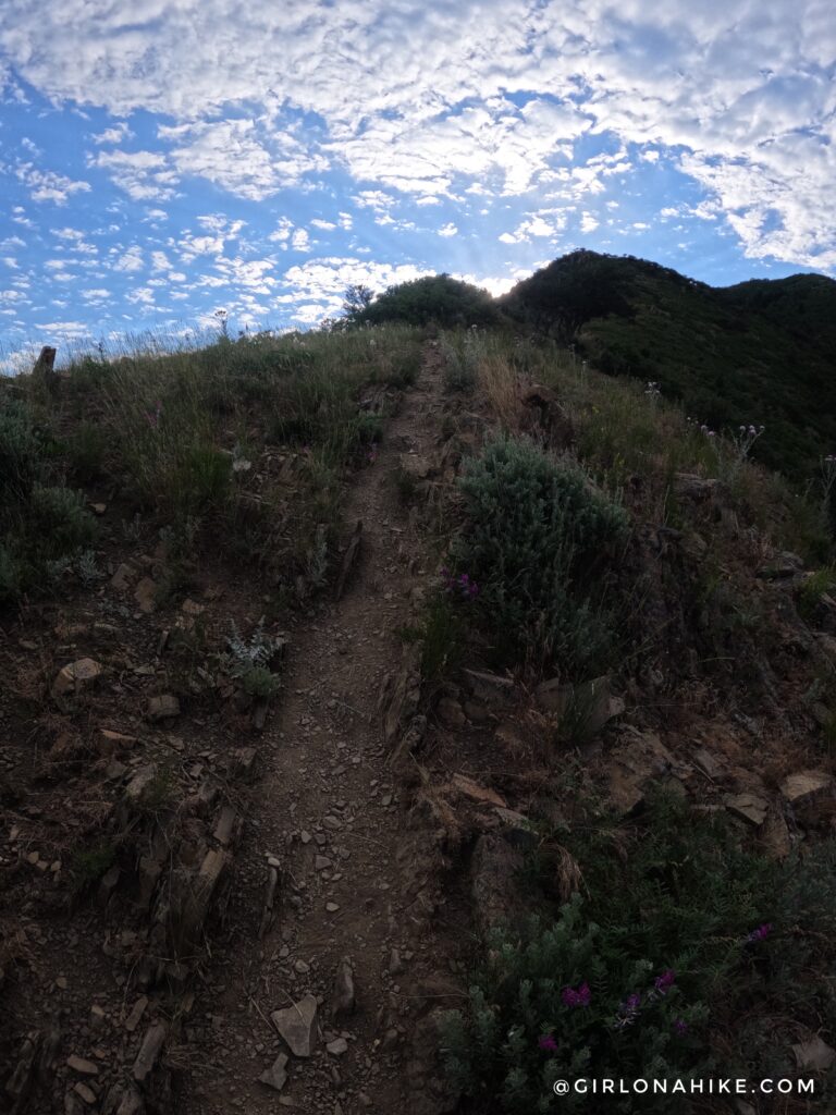 Hiking the West Ridge of Grandeur Peak