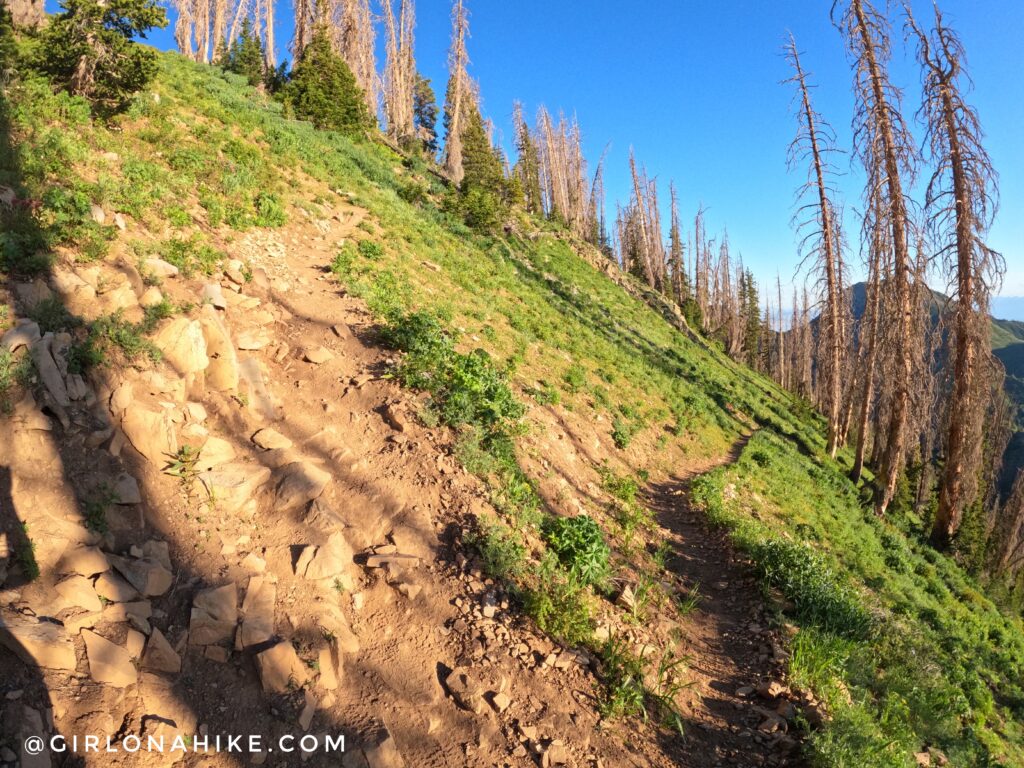 Hiking Mt.Nebo - Tallest Peak in the Wasatch