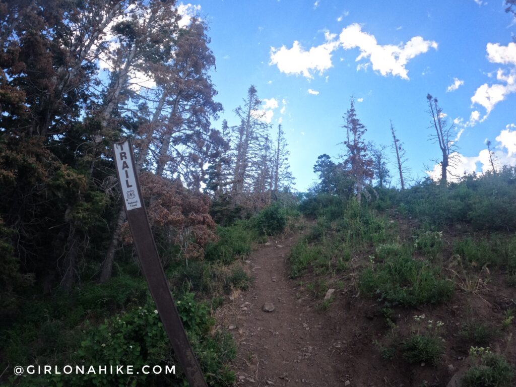 Hiking to Santaquin Peak