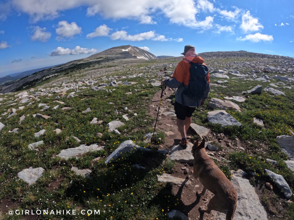 Hiking to Medicine Bow Peak, Wyoming