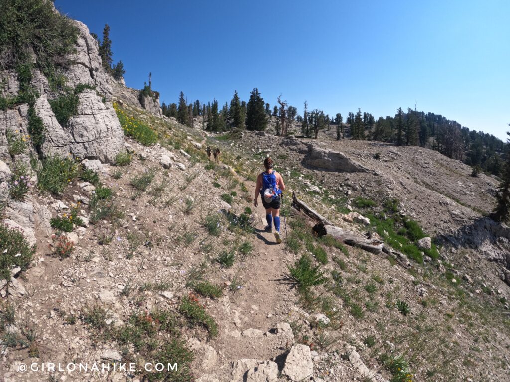 Hiking to Naomi Peak, Logan Canyon