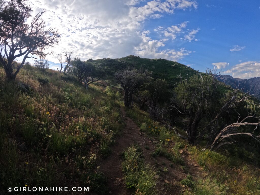 Hiking the West Ridge of Grandeur Peak