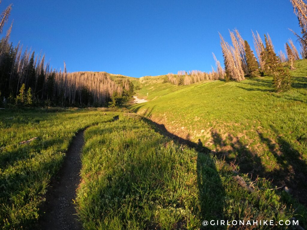 Hiking Mt.Nebo - Tallest Peak in the Wasatch