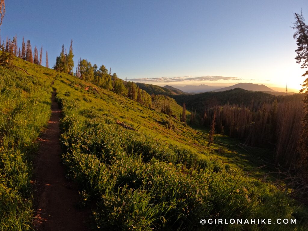 Hiking Mt.Nebo - Tallest Peak in the Wasatch