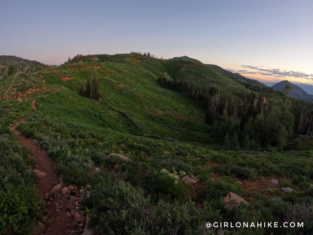 Hiking Mt.Nebo - Tallest Peak in the Wasatch