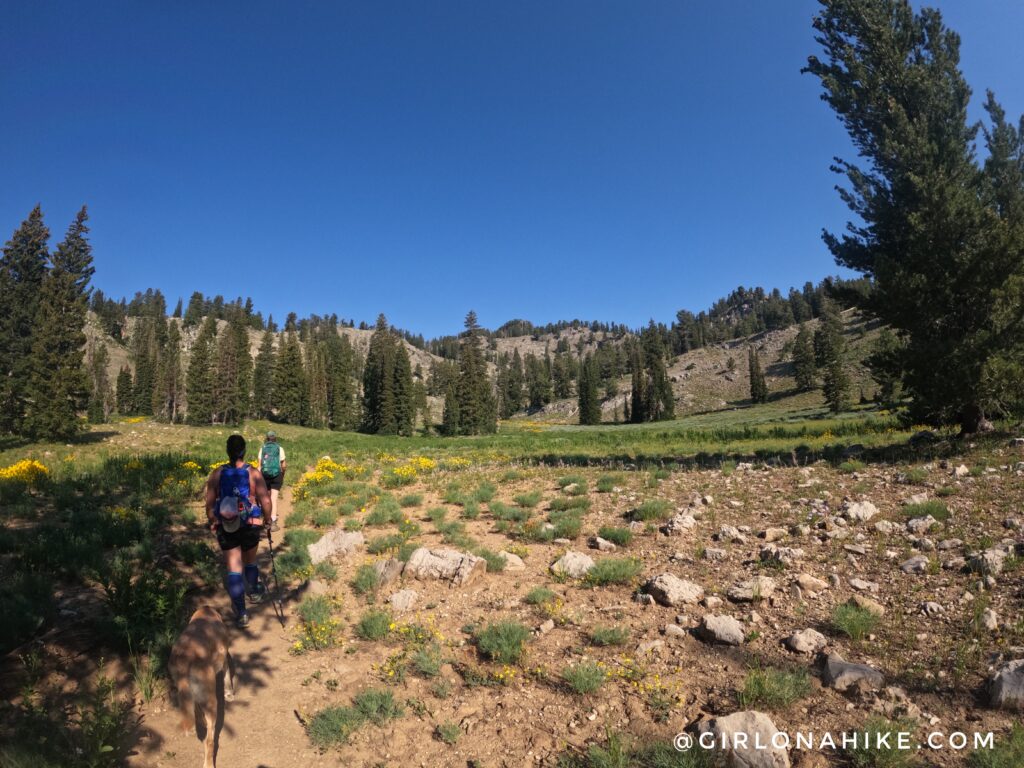 Hiking to Naomi Peak, Logan Canyon