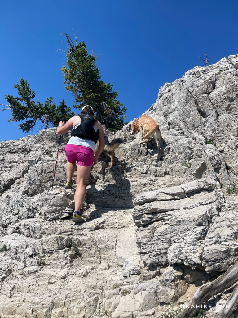 Hiking to Naomi Peak, Logan Canyon