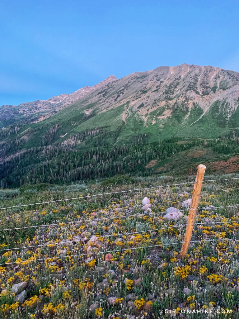 Hiking Mt.Nebo - Tallest Peak in the Wasatch