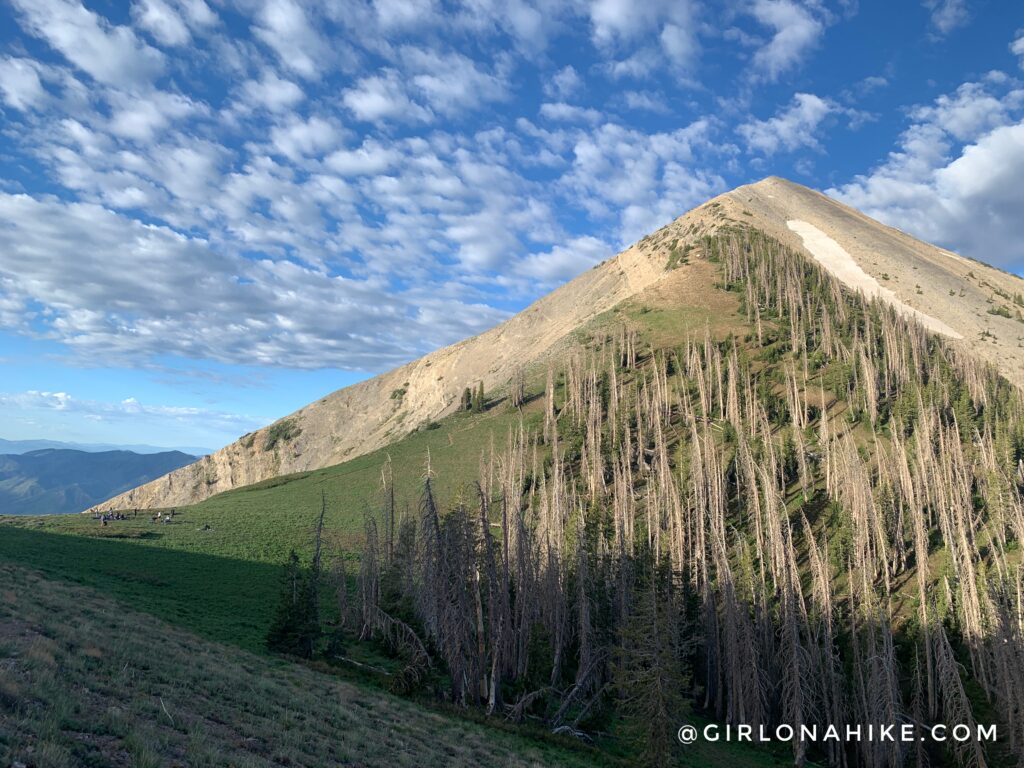 Hiking Mt.Nebo - Tallest Peak in the Wasatch