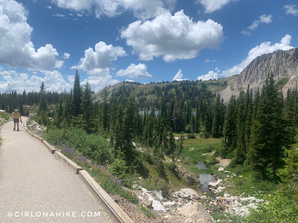 Hiking to Medicine Bow Peak, Wyoming