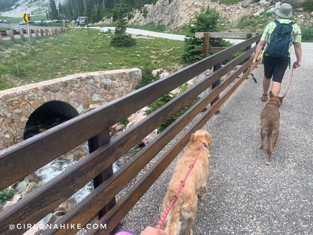 Hiking to Medicine Bow Peak, Wyoming