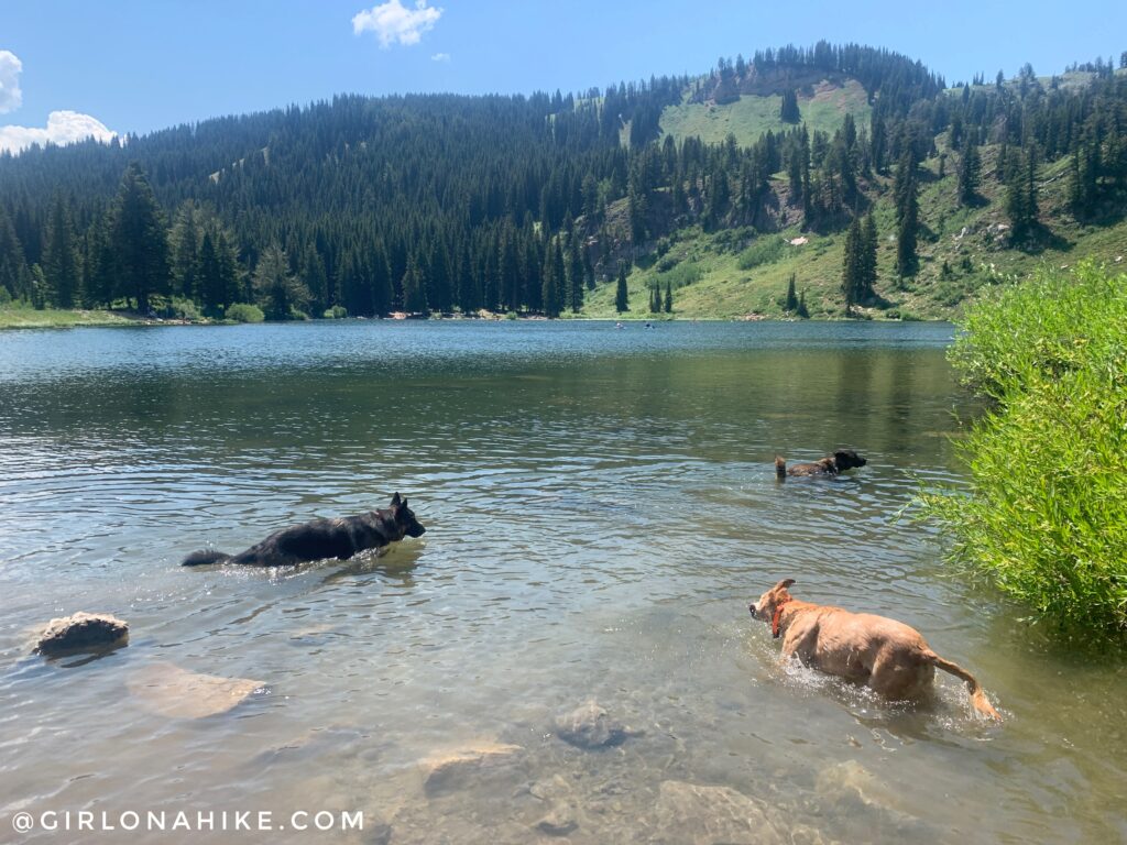 Hiking to Naomi Peak, Logan Canyon