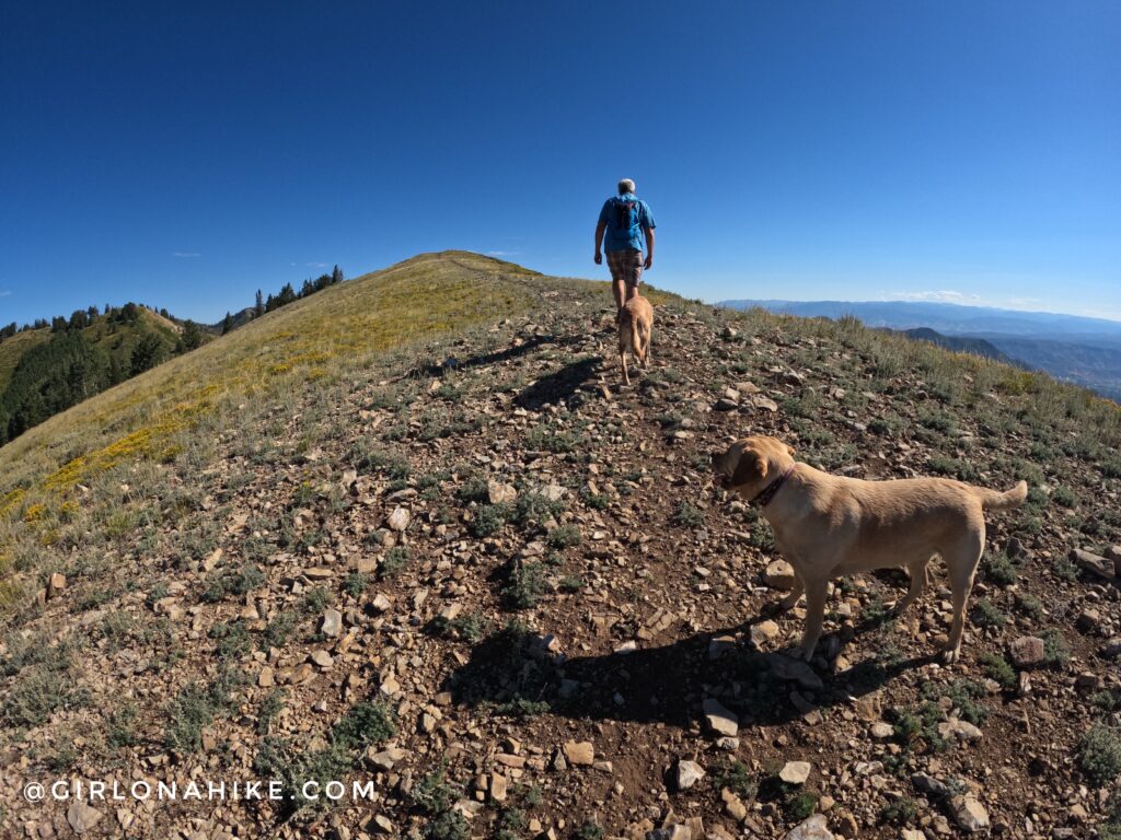 Hiking to Ant Knolls, Wasatch Mountains