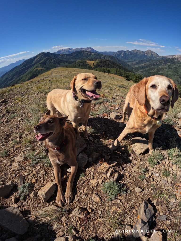 Hiking to Ant Knolls, Wasatch Mountains