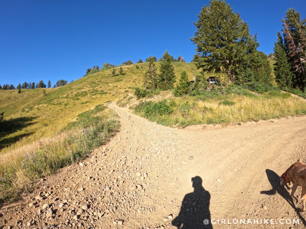 Hiking to Ant Knolls, Wasatch Mountains